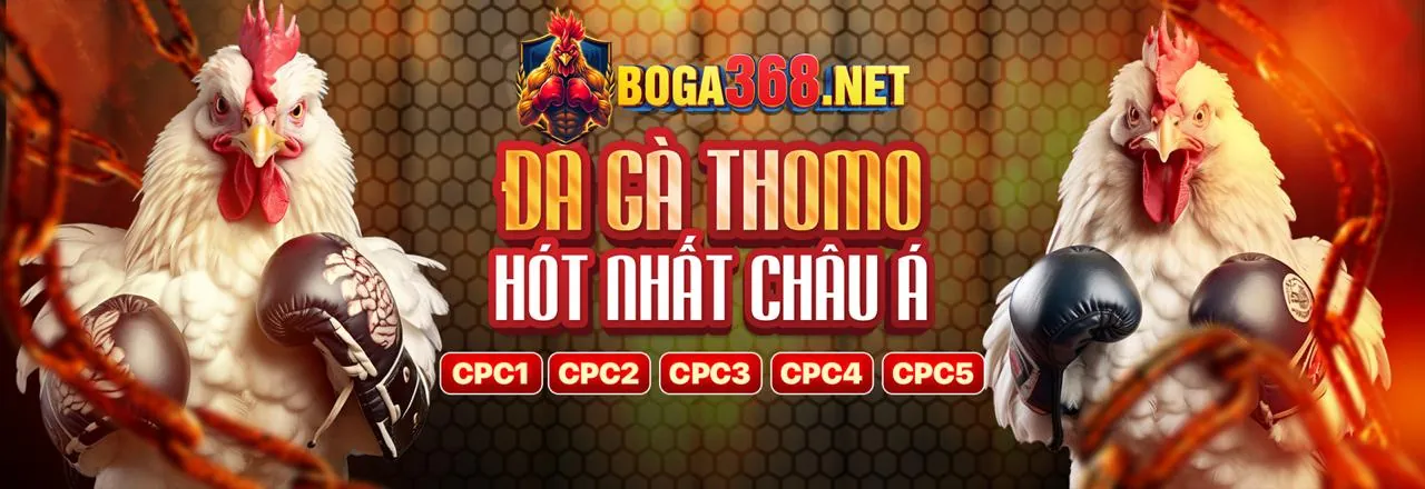 Đá gà trực tuyến hello88 côm – Sân chơi đỉnh cao